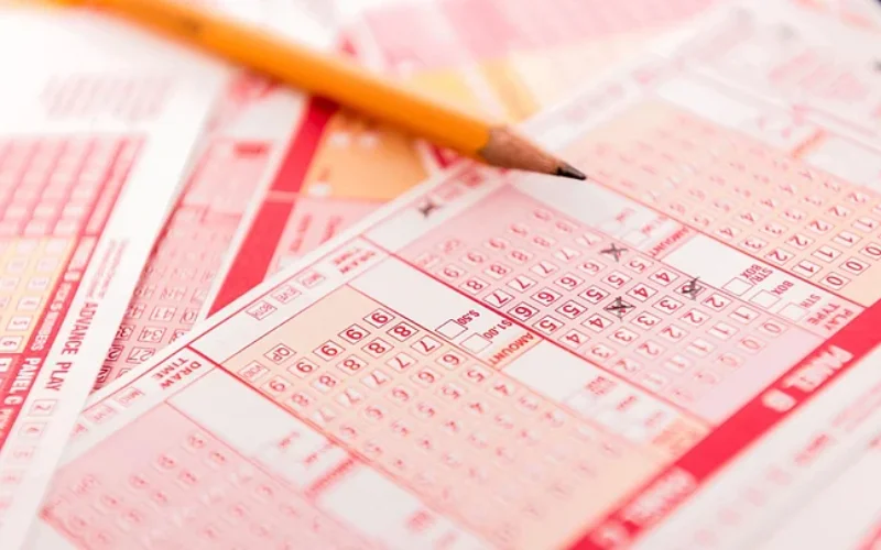 meghalaya lottery at TC Lottery APK body image